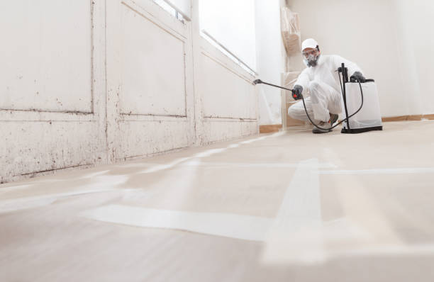 24/7 Emergency Attic Mold Removal experts in Elkwood, VA